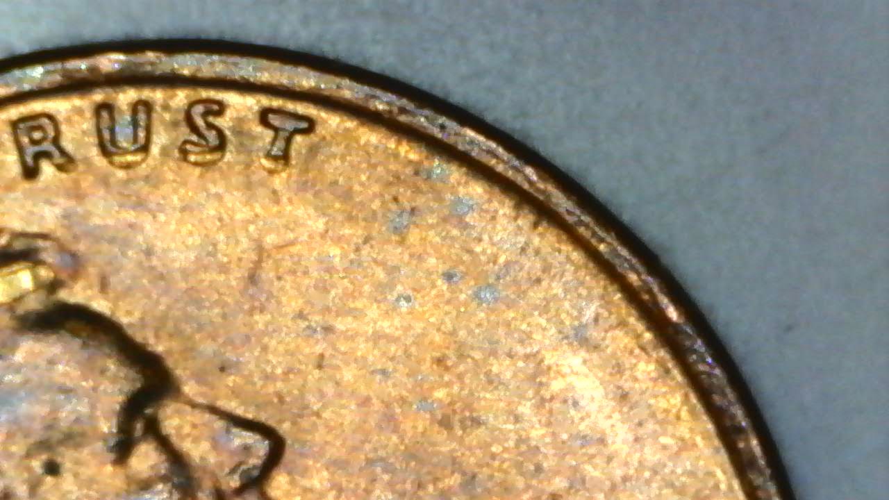1980-Penny-Date-And-Moto-?