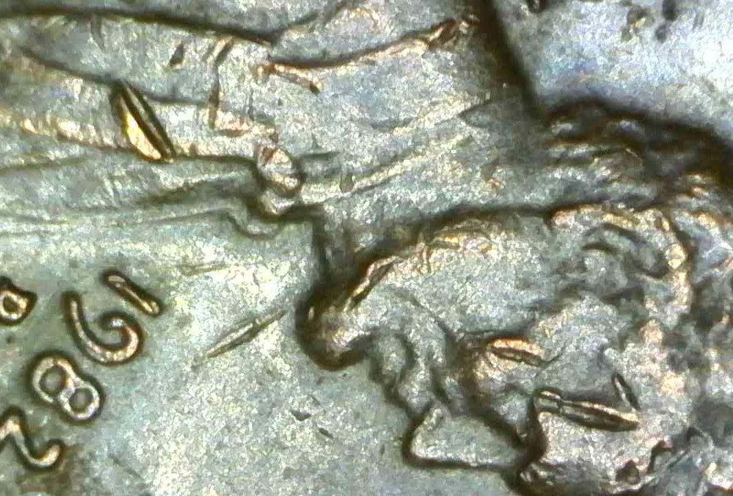 1982-D-Penny-Error-Or-Damage-?