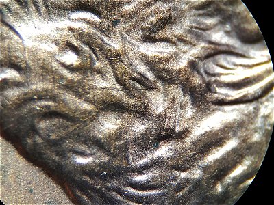 2006-DDO-Memoral-Cent