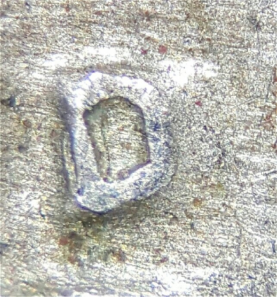 1951-D/D-Nickel-Maybe?