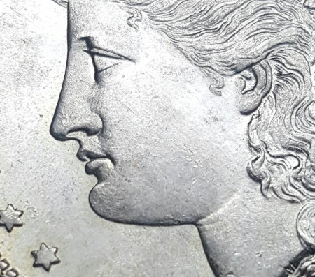 1881-S-Morgan-For-Grading