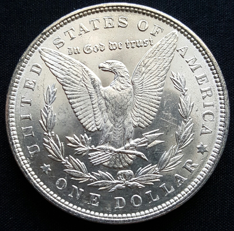1891-P-Morgan-Dollar-For-Grading.-Coin-1