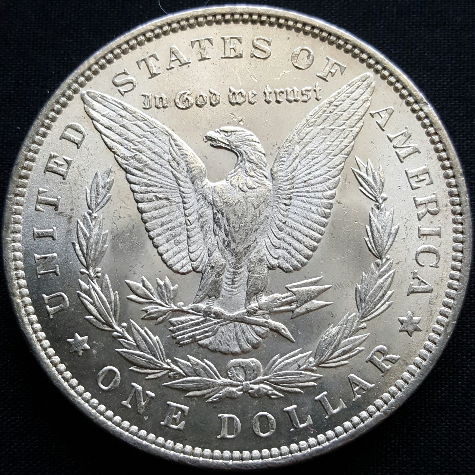 1891-P-Morgan-Dollar-For-Grading.-Coin-2