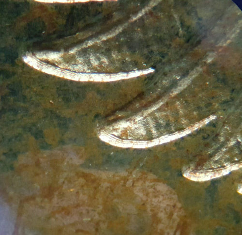 1967-Proof-Centennial-Dollar-Quintuple-Die?