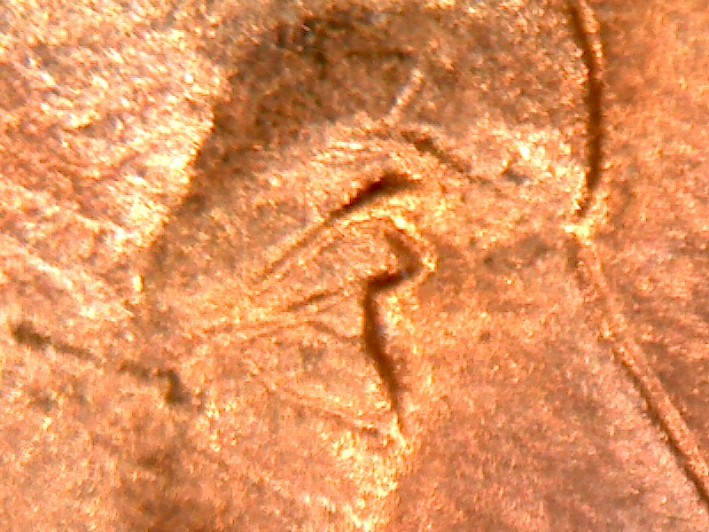 2000-D-DDO-Double-Ear-?