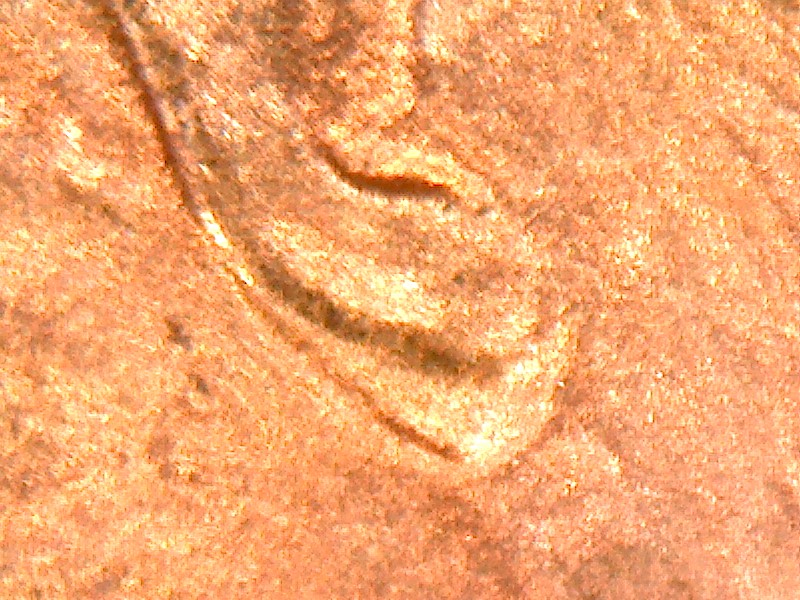 2000-D-DDO-Double-Ear-?