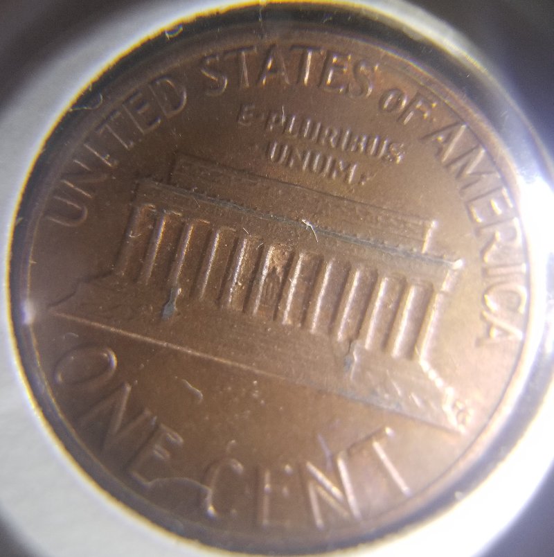 1983-Doubled-Ear-Close-Up