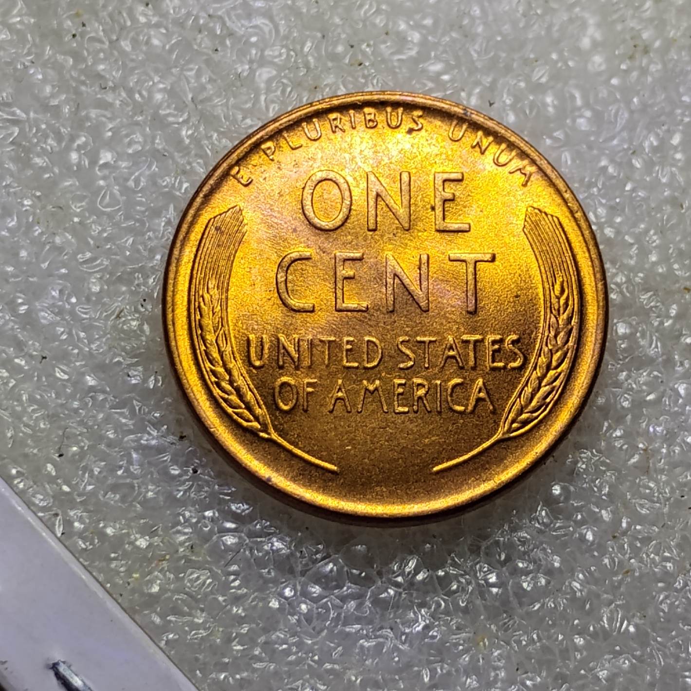 1955-D-Wheat-Cent-For-Grading
