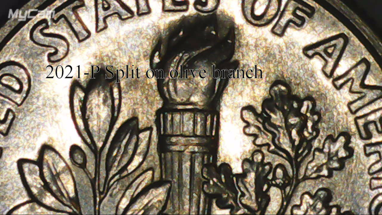 2021-P-Roosevelt-Dime-Possible-DD-On-Reverse-?