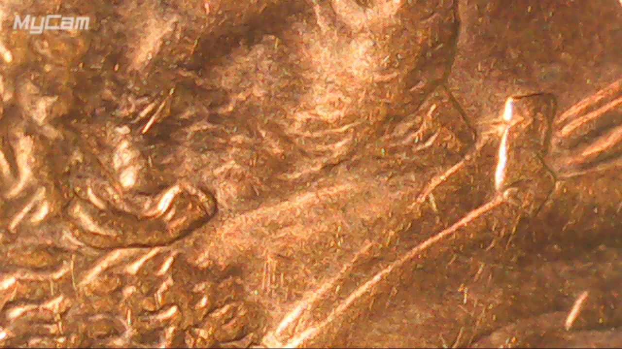 2003-D-Lincoln-Cent-Possible-Double-Earlobe