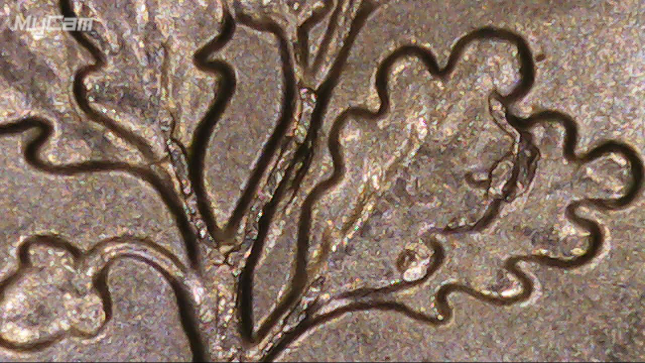 2016-P-Dime-Cracked-Die-Or-Do-I-Need-A-Tree-Surgeon-?
