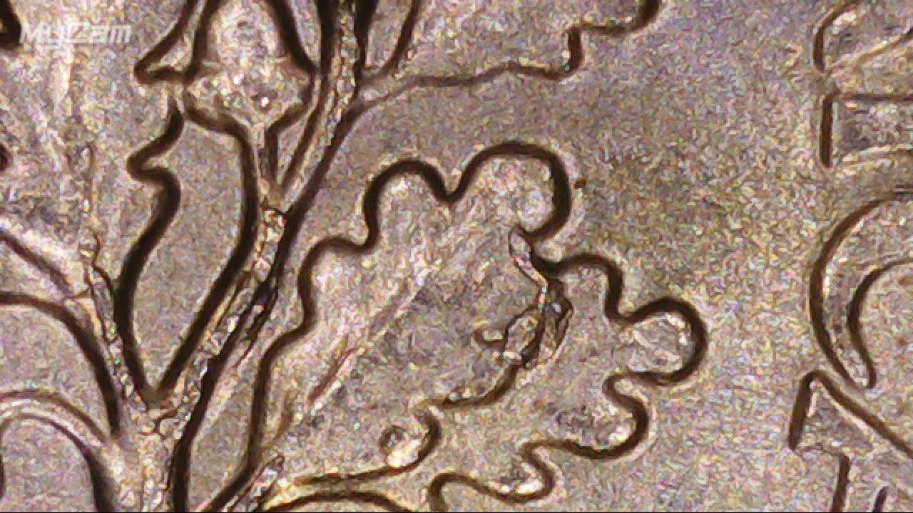 2016-P-Dime-Cracked-Die-Or-Do-I-Need-A-Tree-Surgeon-?