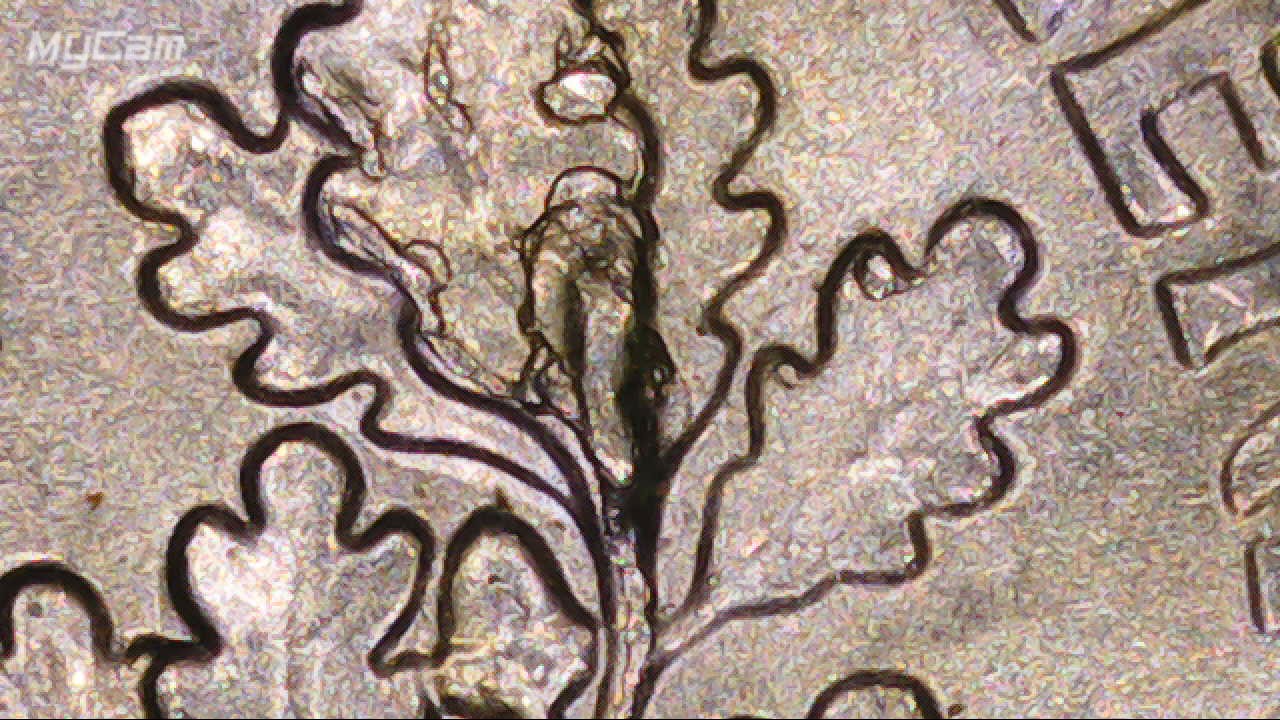 2016-P-Dime-Cracked-Die-Or-Do-I-Need-A-Tree-Surgeon-?