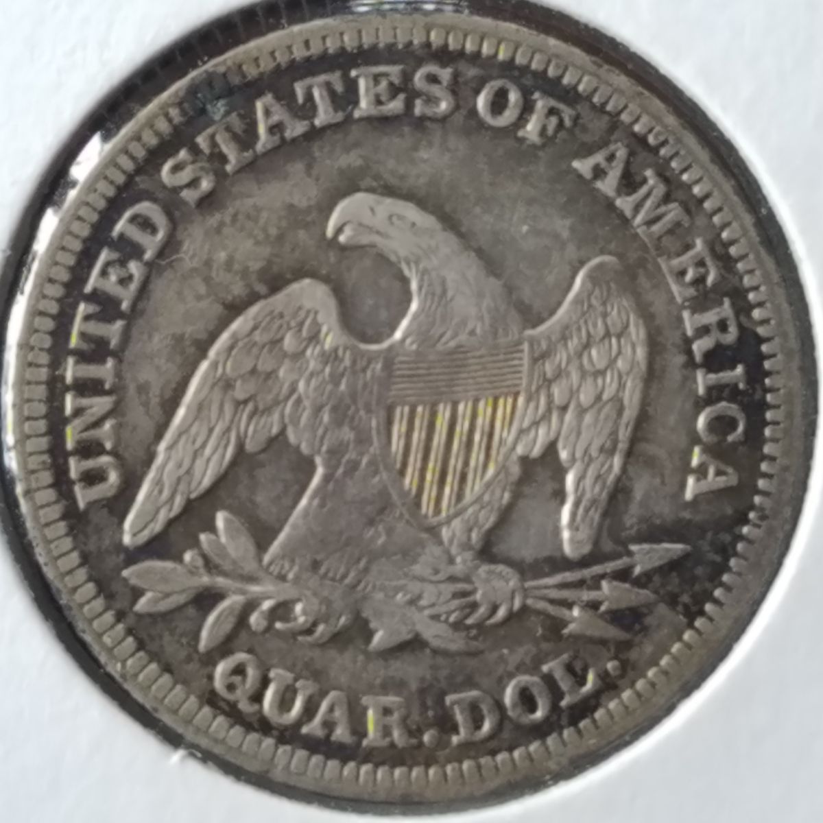Post-Pictures-Of-Your-Seated-Coins!-It's-Show-Off-Time!