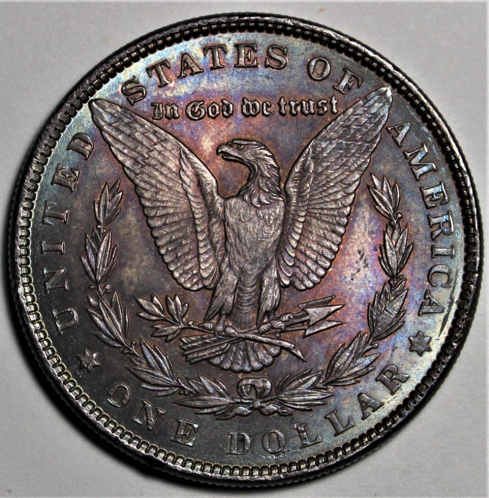 1884-Morgan-Dollar-For-Grade-And-Opinions