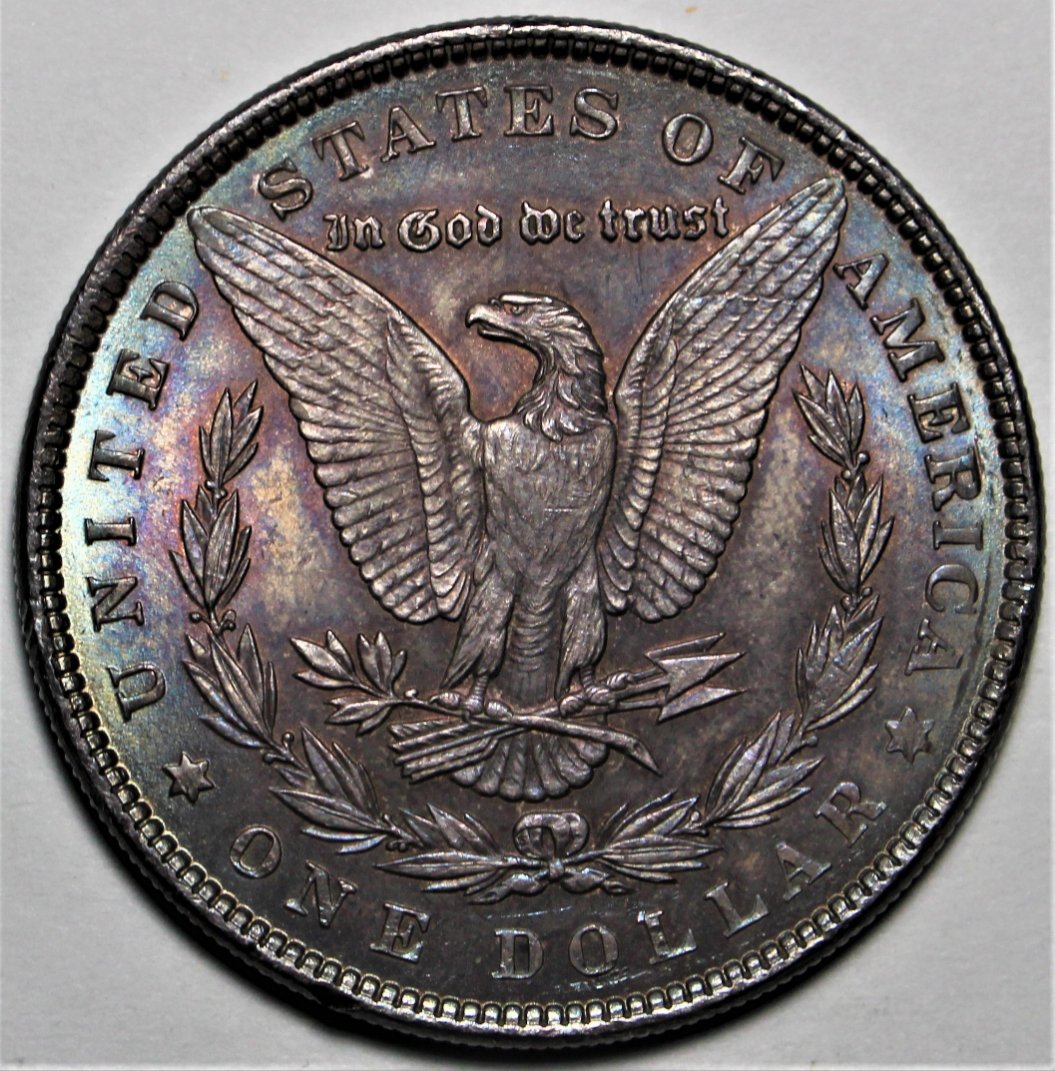 1884-Morgan-Dollar-For-Grade-And-Opinions