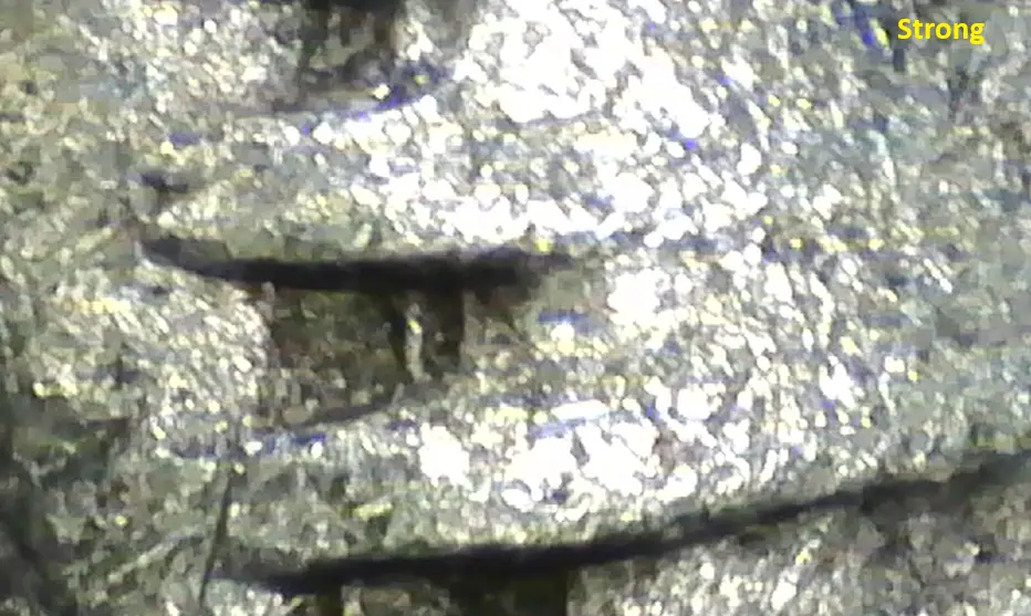 Fish-Gills-On-Liberty's-Neck,-Possible-Unlisted-1921-Peace-Dollar-VAM?
