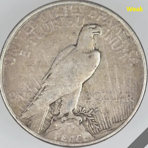 Fish-Gills-On-Liberty's-Neck,-Possible-Unlisted-1921-Peace-Dollar-VAM?