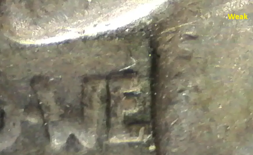 Fish-Gills-On-Liberty's-Neck,-Possible-Unlisted-1921-Peace-Dollar-VAM?
