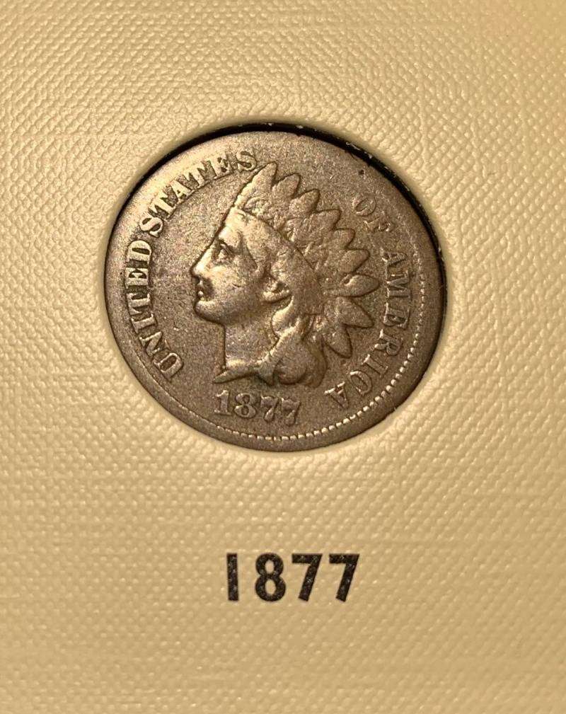 A-Collection-Of-Flying-Eagle-And-Indian-Head-Cents-In-A-Littleton-Album