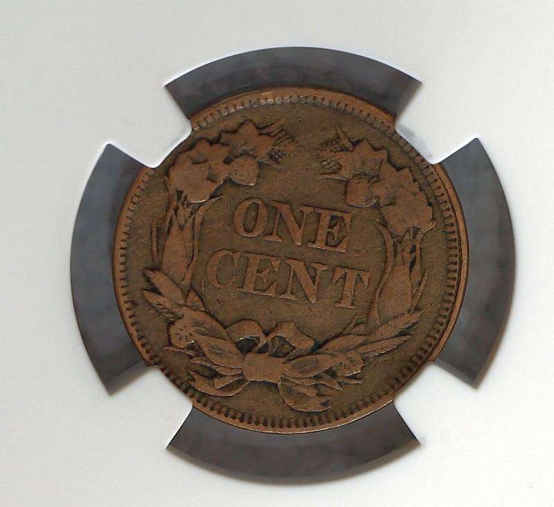Compare-Your-Grade-To-A-TPG--1858-Flying-Eagle