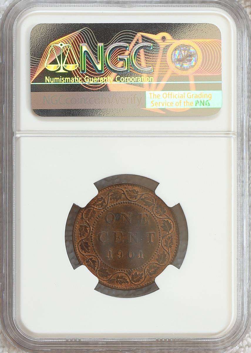 I-Was-Convinced-To-Start-A-Large-Cents-Collection