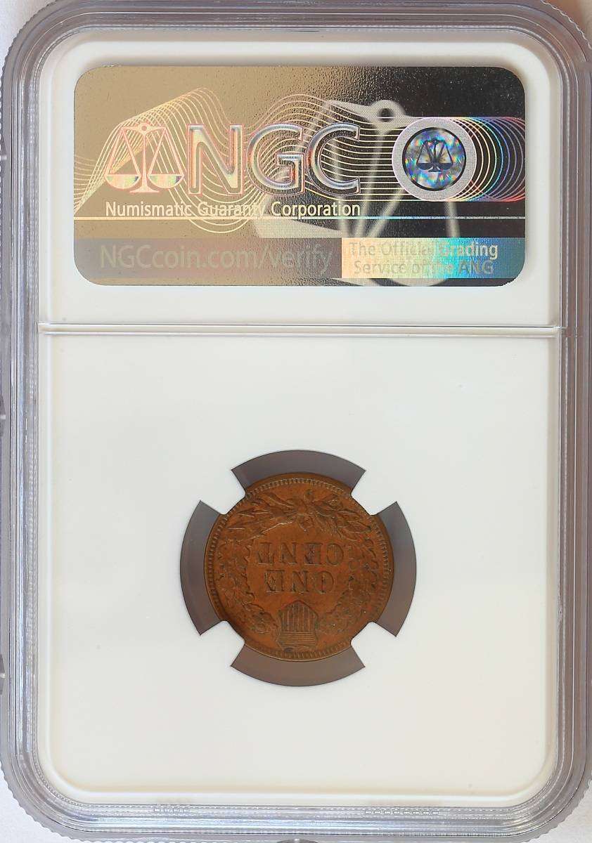 Flying-Eagle-And-Indian-Head-Cents-And-A-Future-Long-Term-Project