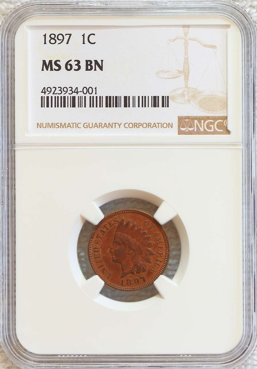 Flying-Eagle-And-Indian-Head-Cents-And-A-Future-Long-Term-Project