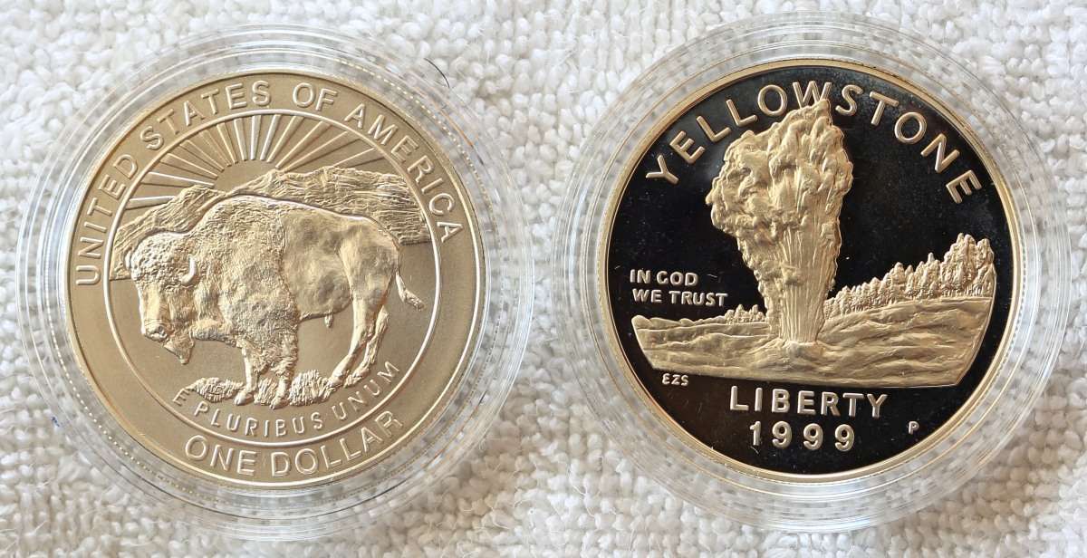 I-Really-Like-Coins-With-A-Bison!