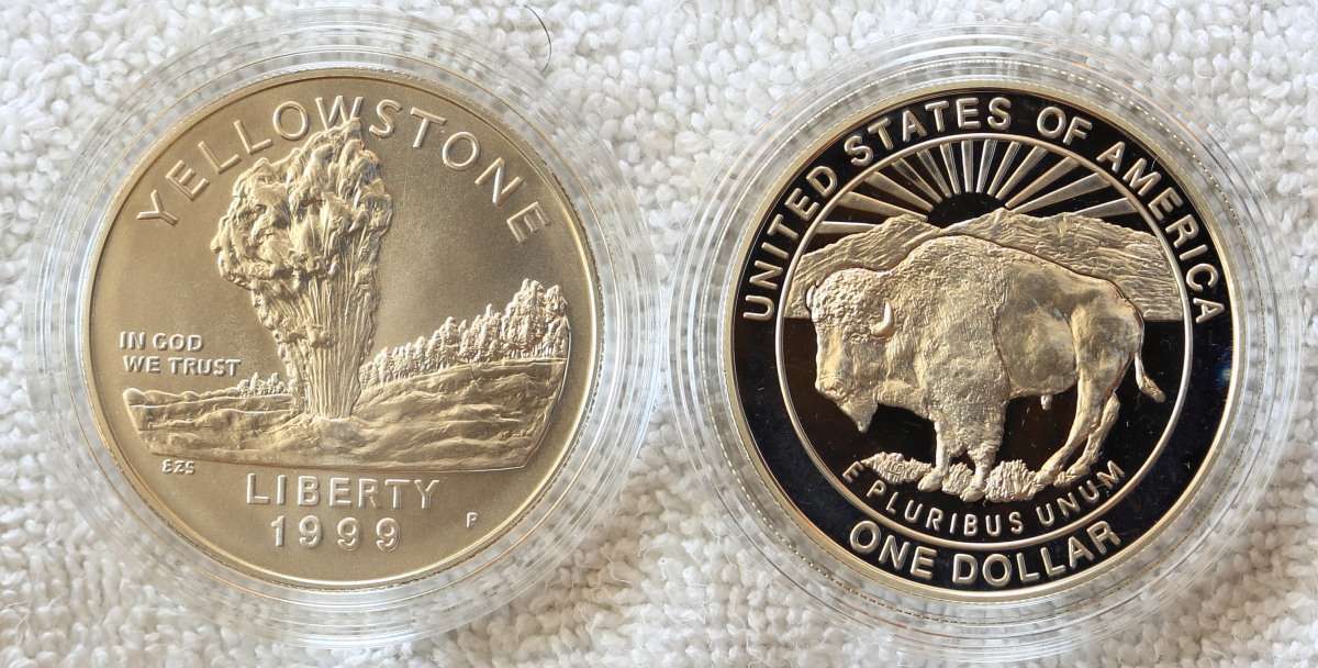 I-Really-Like-Coins-With-A-Bison!