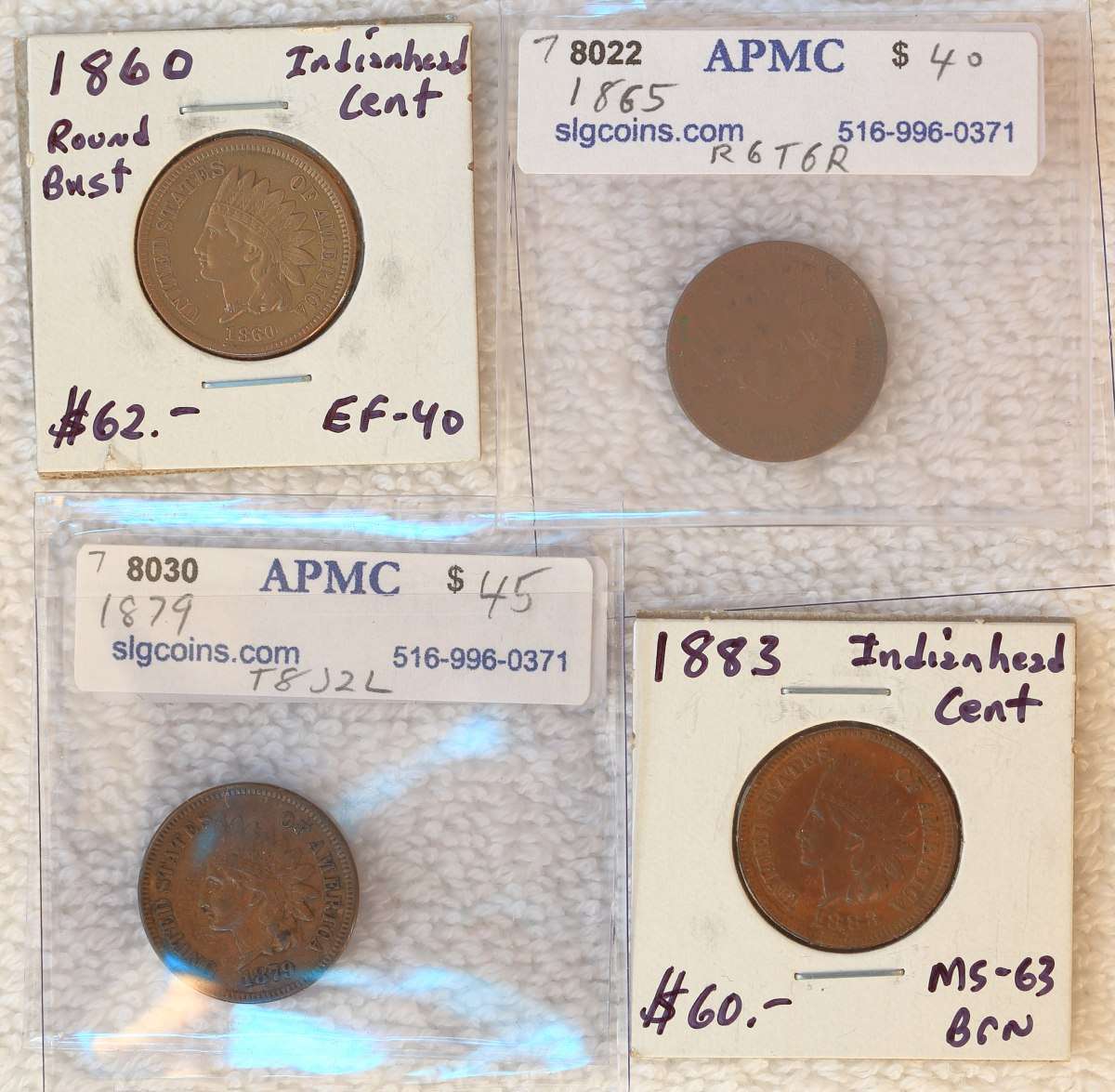Flying-Eagle-And-Indian-Head-Cents-And-A-Future-Long-Term-Project