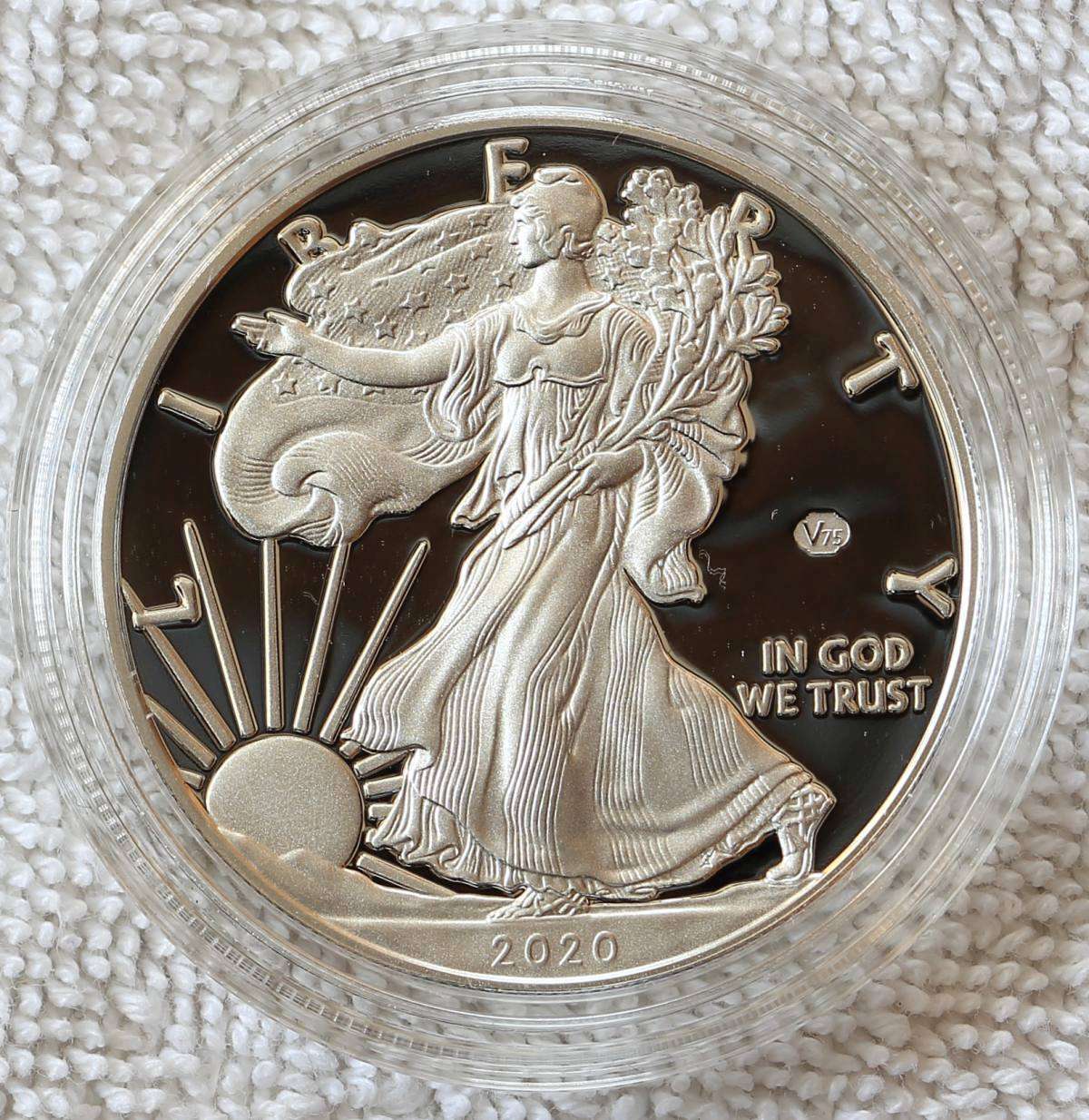 A-Compendium-Of-American-Silver-Eagles..