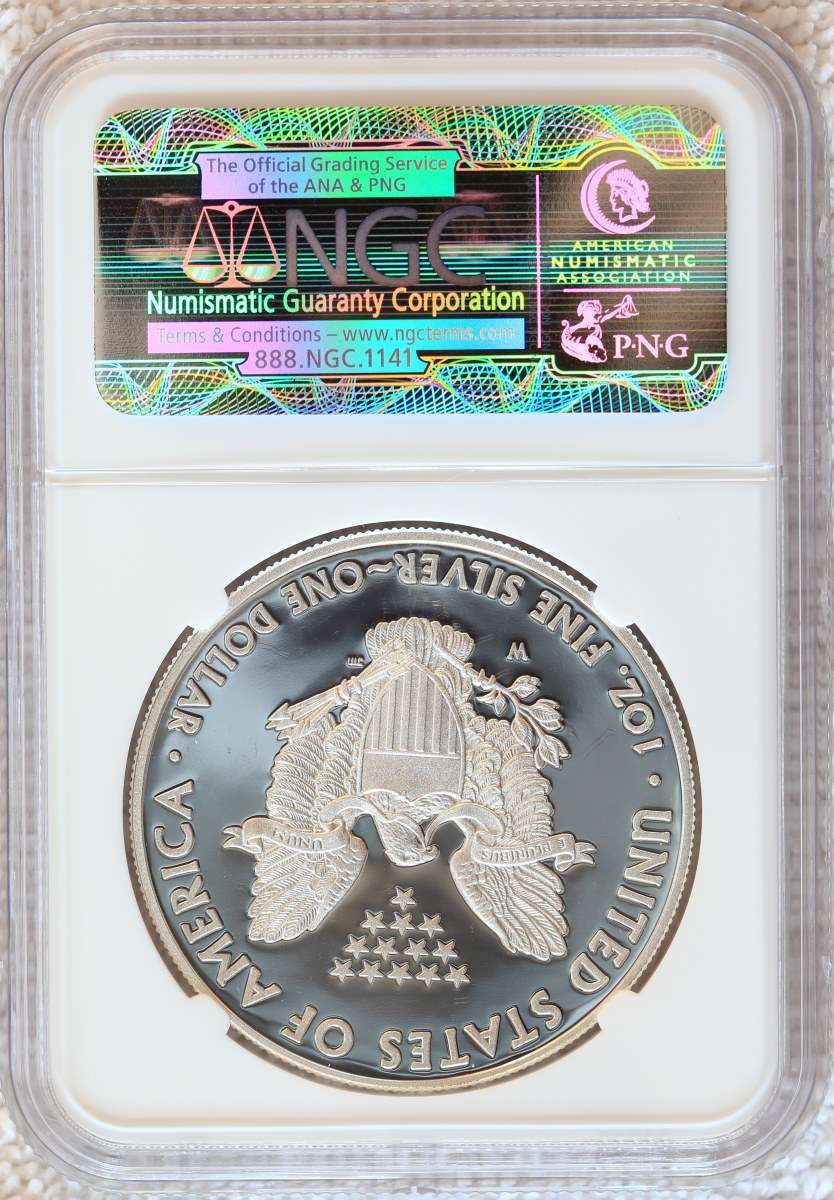 A-Compendium-Of-American-Silver-Eagles..