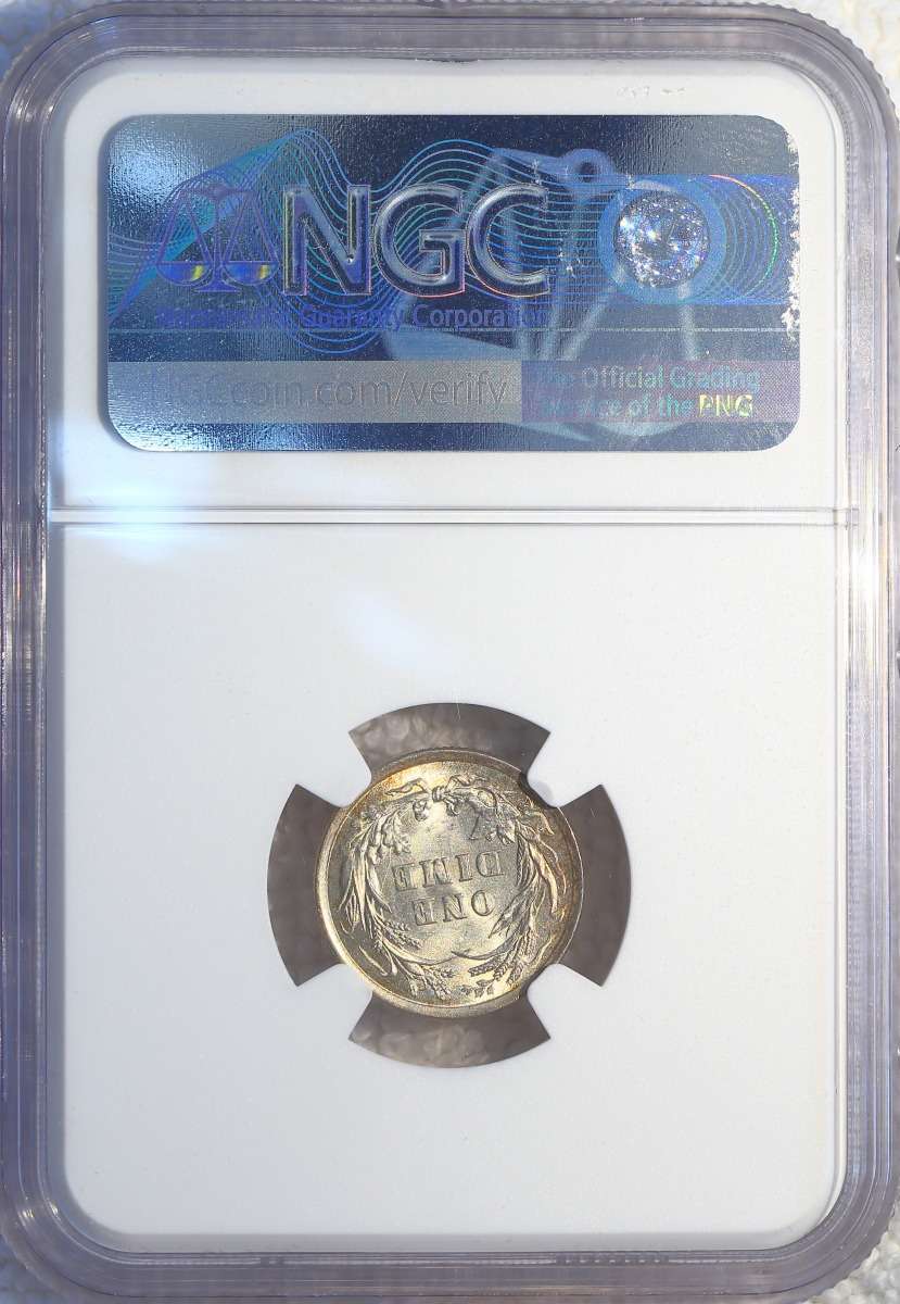 Hfjacinto's-Slabbed-Dansco-7070-With-Gold-Page