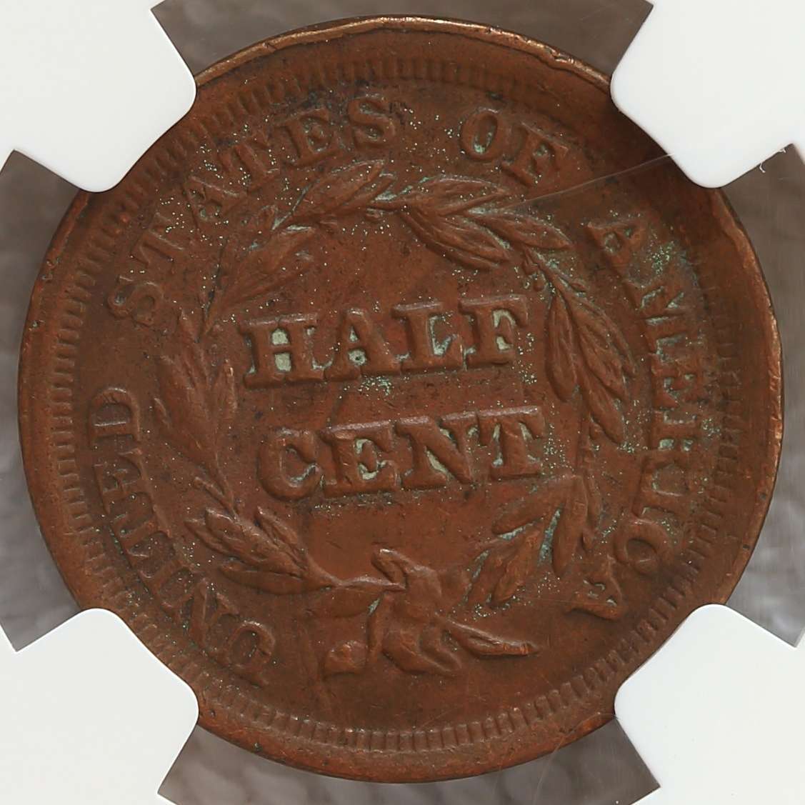 Hfjacinto's-Slabbed-Dansco-7070-With-Gold-Page