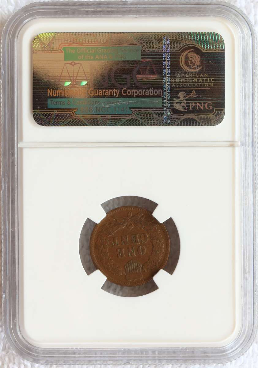 Flying-Eagle-And-Indian-Head-Cents-And-A-Future-Long-Term-Project