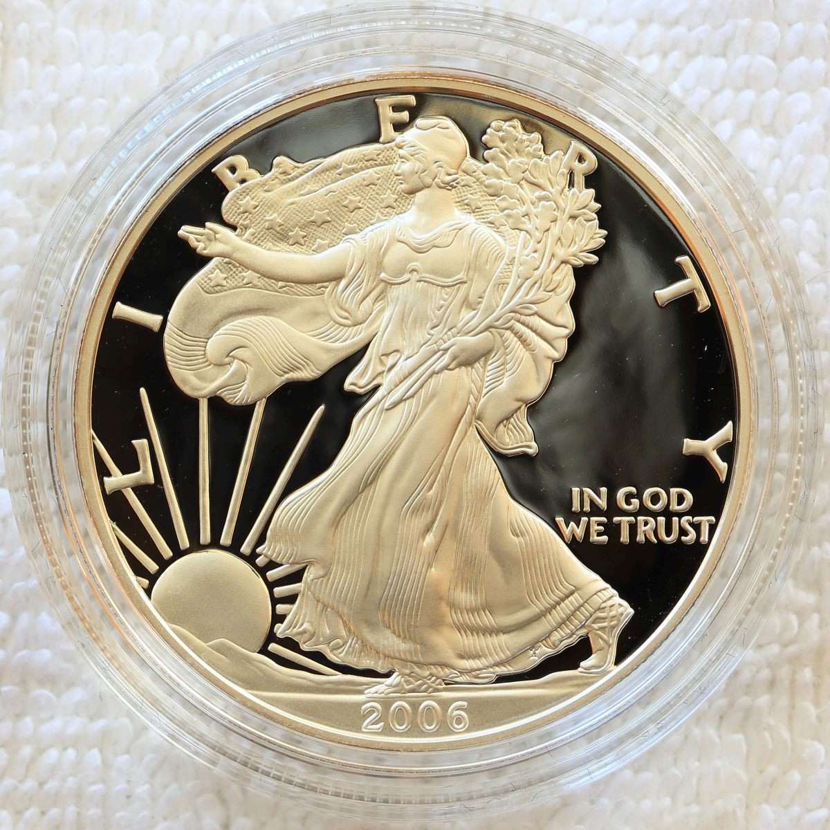 A-Compendium-Of-American-Silver-Eagles..