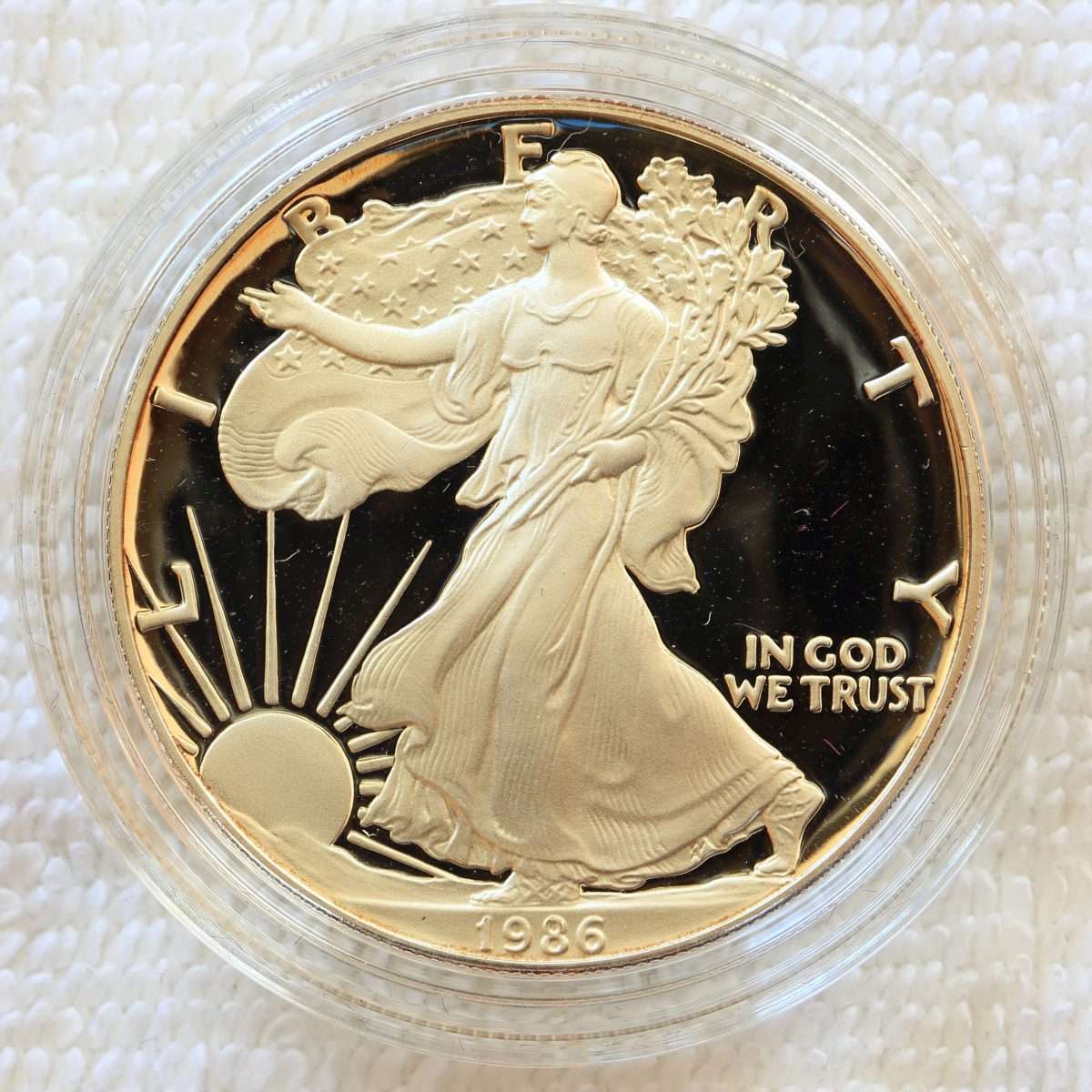 A-Compendium-Of-American-Silver-Eagles..