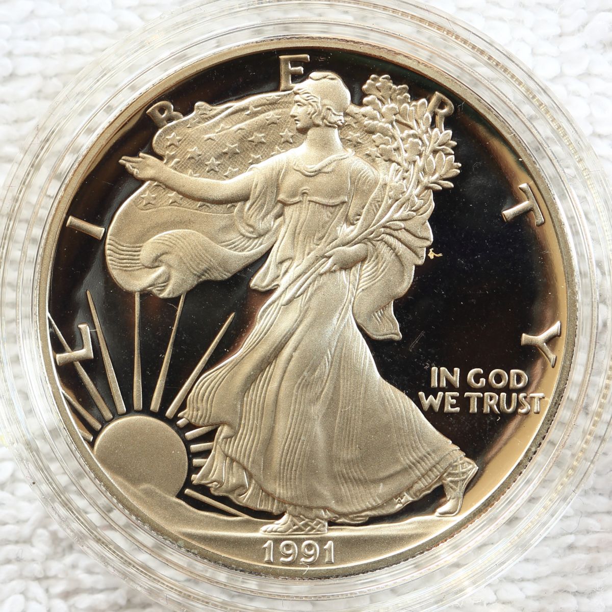 A-Compendium-Of-American-Silver-Eagles..