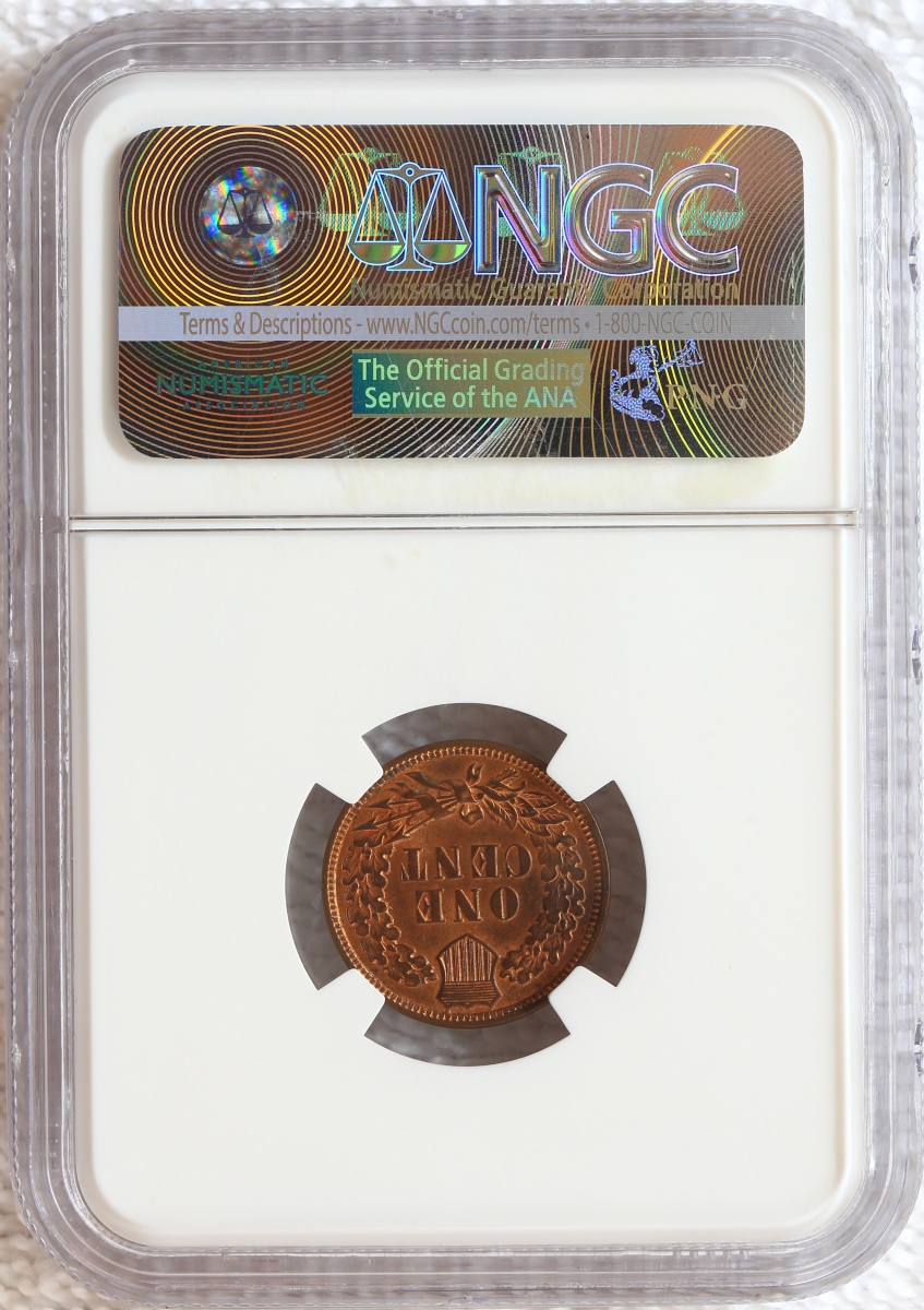 Flying-Eagle-And-Indian-Head-Cents-And-A-Future-Long-Term-Project