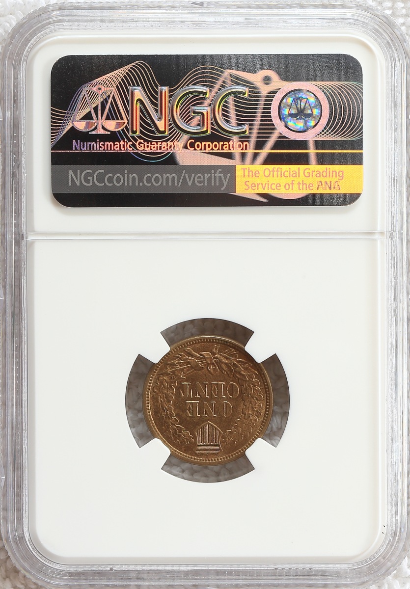 Flying-Eagle-And-Indian-Head-Cents-And-A-Future-Long-Term-Project