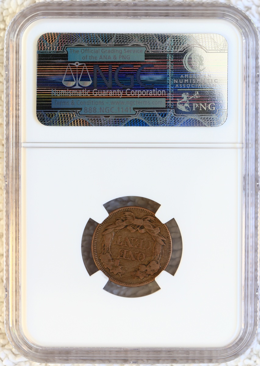 Flying-Eagle-And-Indian-Head-Cents-And-A-Future-Long-Term-Project