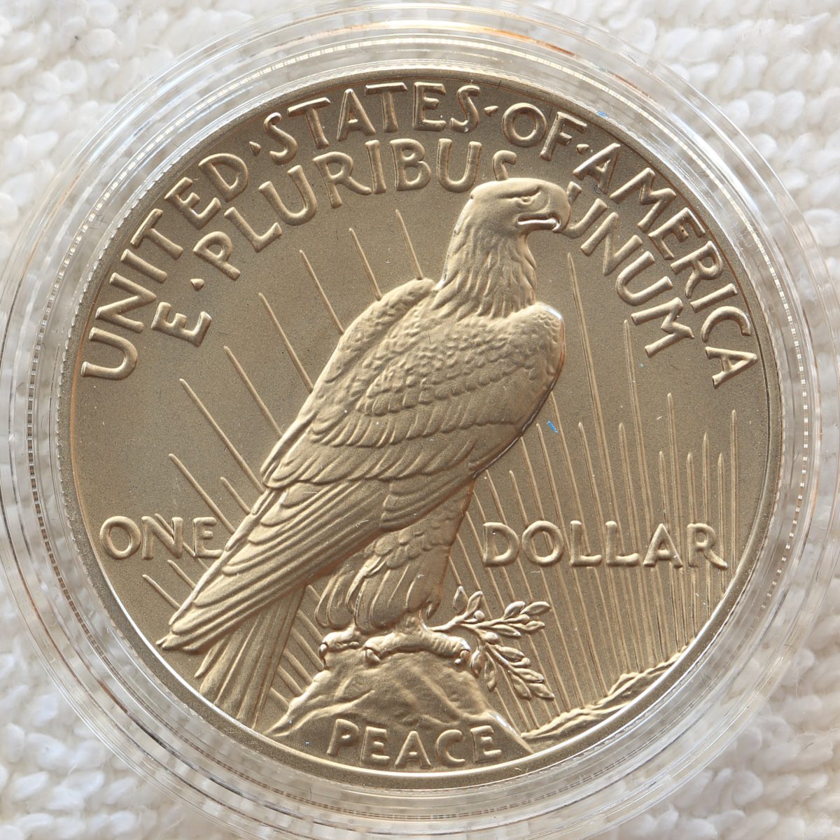 Question-About-The-2021-Morgan-Dollars