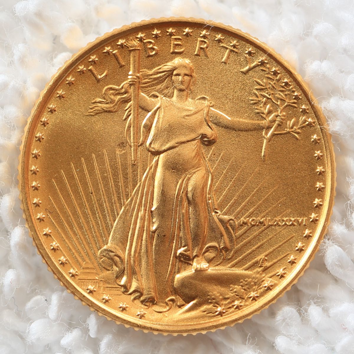 Disenfranchised-By-Modern-US-Mint-Coinage?