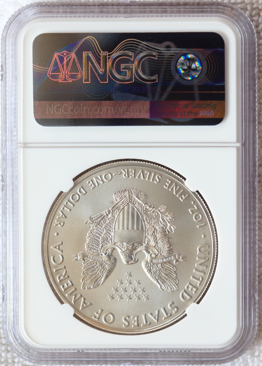 A-Compendium-Of-American-Silver-Eagles..