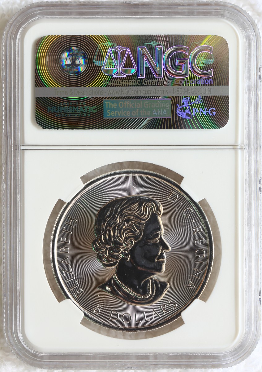 My-Collection-Of-Foreign-Silver-Bullion-Coins