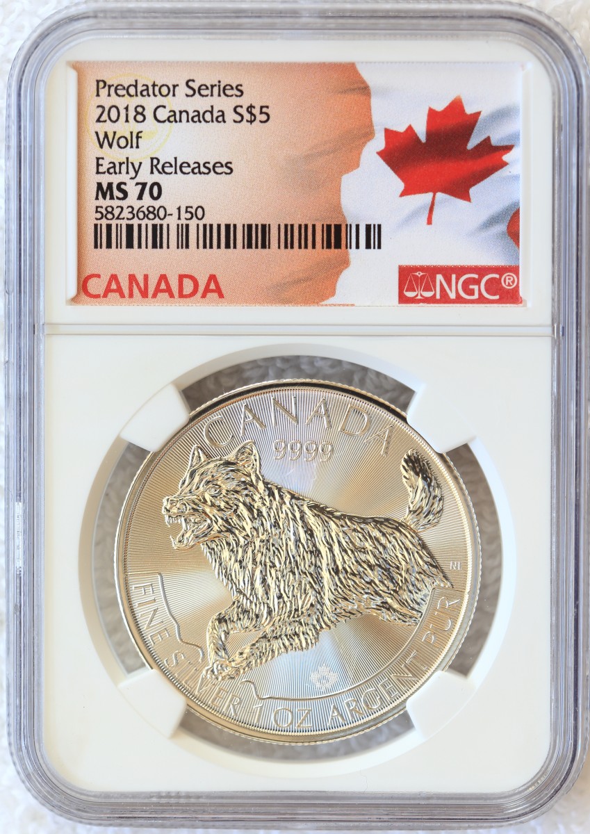 My-Collection-Of-Foreign-Silver-Bullion-Coins