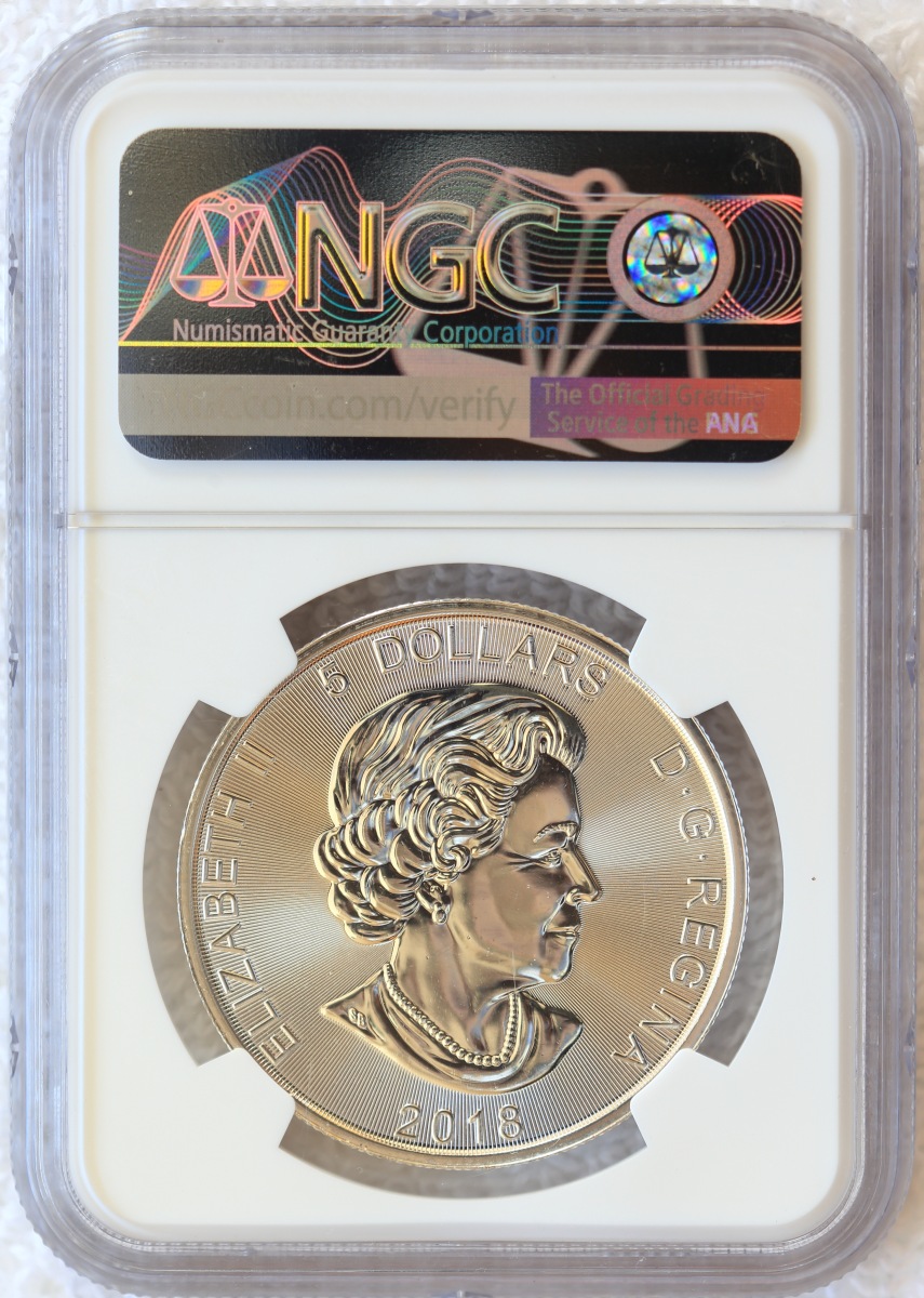 My-Collection-Of-Foreign-Silver-Bullion-Coins