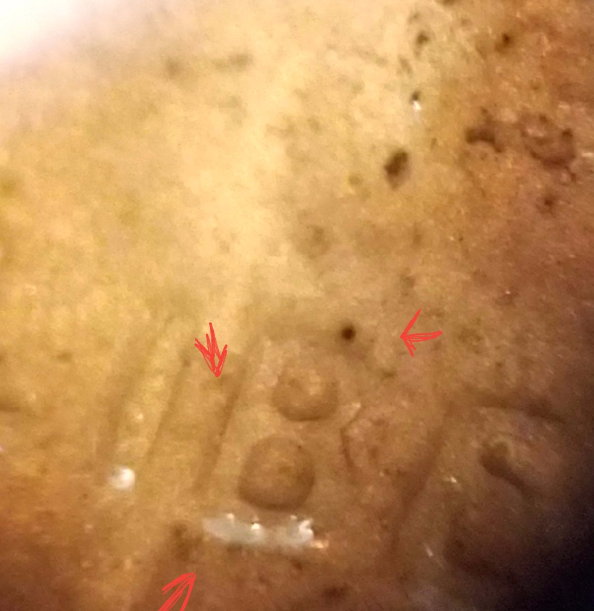 Dirty-LMC-Intrigues-Me.-Lost-Gem-Or-Lost-Time.