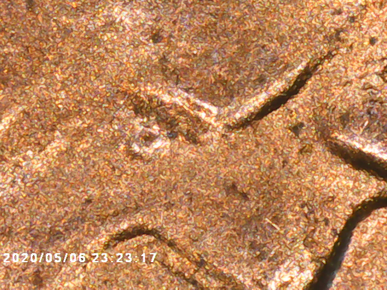 1995-Penny-With-Added-Extra